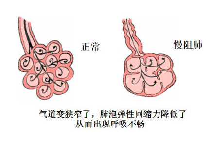 &#20048;&#40060;&#119;&#101;&#98;&#29256;&#30331;&#24405;&#20837;&#21475;&#45;&#20048;&#40060;&#111;&#110;&#108;&#105;&#110;&#101;&#40;&#20013;&#22269;&#41;