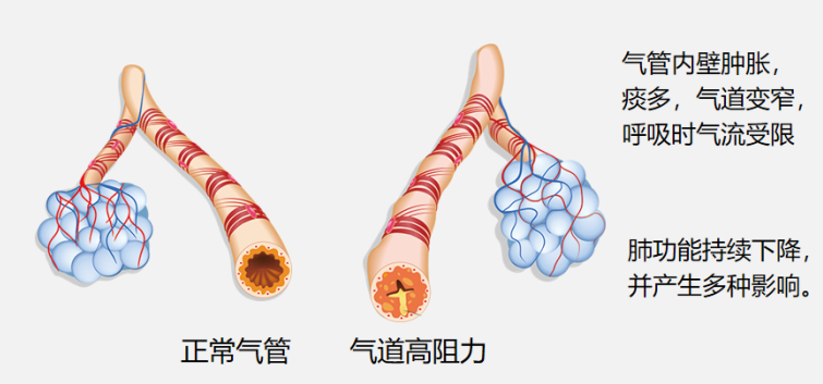 &#20048;&#40060;&#119;&#101;&#98;&#29256;&#30331;&#24405;&#20837;&#21475;&#45;&#20048;&#40060;&#111;&#110;&#108;&#105;&#110;&#101;&#40;&#20013;&#22269;&#41;