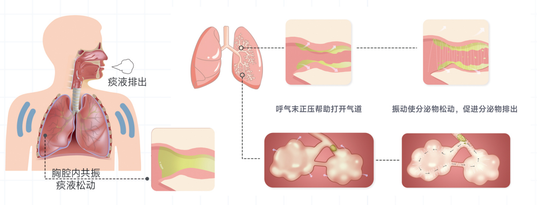 &#20048;&#40060;&#119;&#101;&#98;&#29256;&#30331;&#24405;&#20837;&#21475;&#45;&#20048;&#40060;&#111;&#110;&#108;&#105;&#110;&#101;&#40;&#20013;&#22269;&#41;